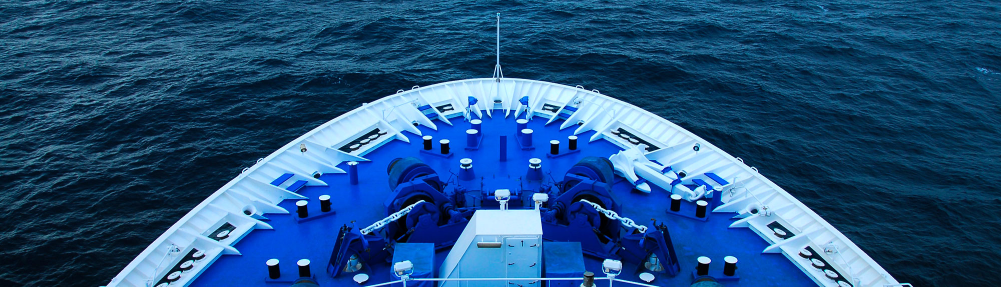 cruise ship actions and support