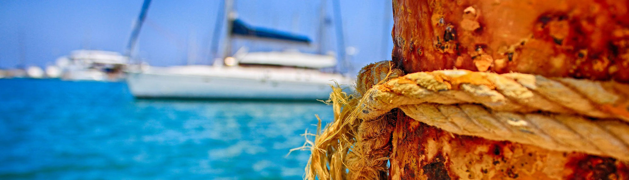 τα μελη της ενωσης